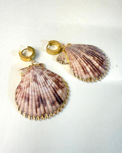 Natural Pink Sea Shell Scallop Earrings